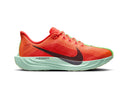 Nike Pegasus Plus Womens Running Shoes