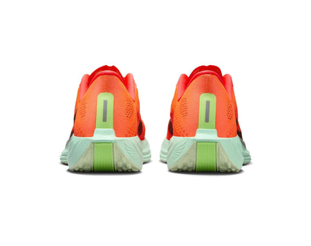 Nike Pegasus Plus Womens Running Shoes